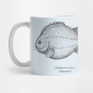 CYCLOPTERUS LUMPUS Mug